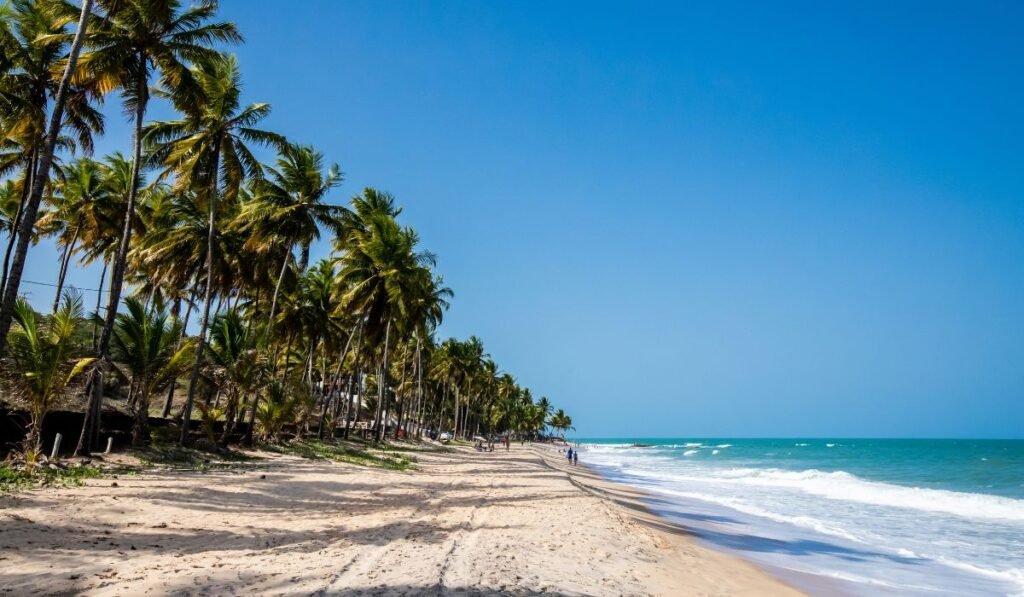 Praias da Paraíba: Guia pelas Praias Onde o Sol Nasce Primeiro 1 Praias da Paraíba Conheça as Praias do Litoral Paraibano