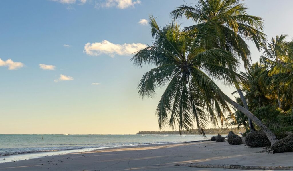 Praias em Alagoas: Guia Completo pelo Caribe Brasileiro 5 Praias em Alagoas Guia Completo pelo Caribe Brasileiro